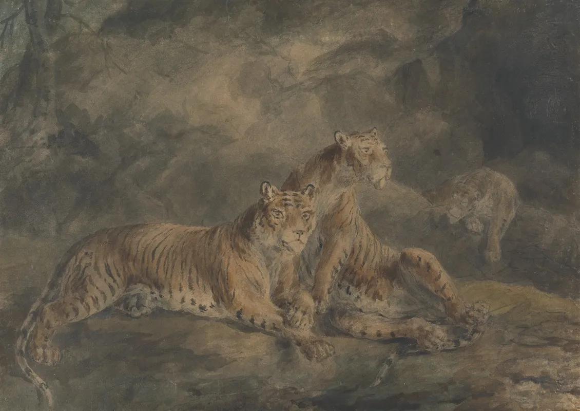 Three Tigers In A Rocky Landscape
