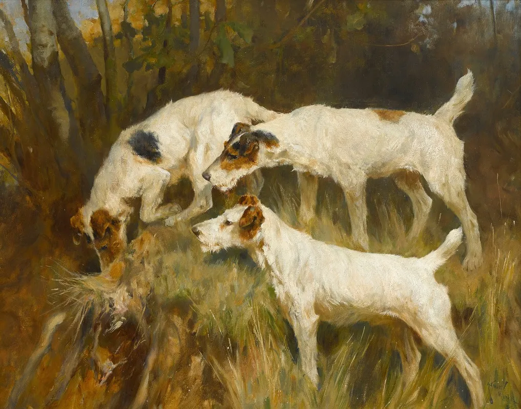 Three Wire Fox Terriers Working A Hole