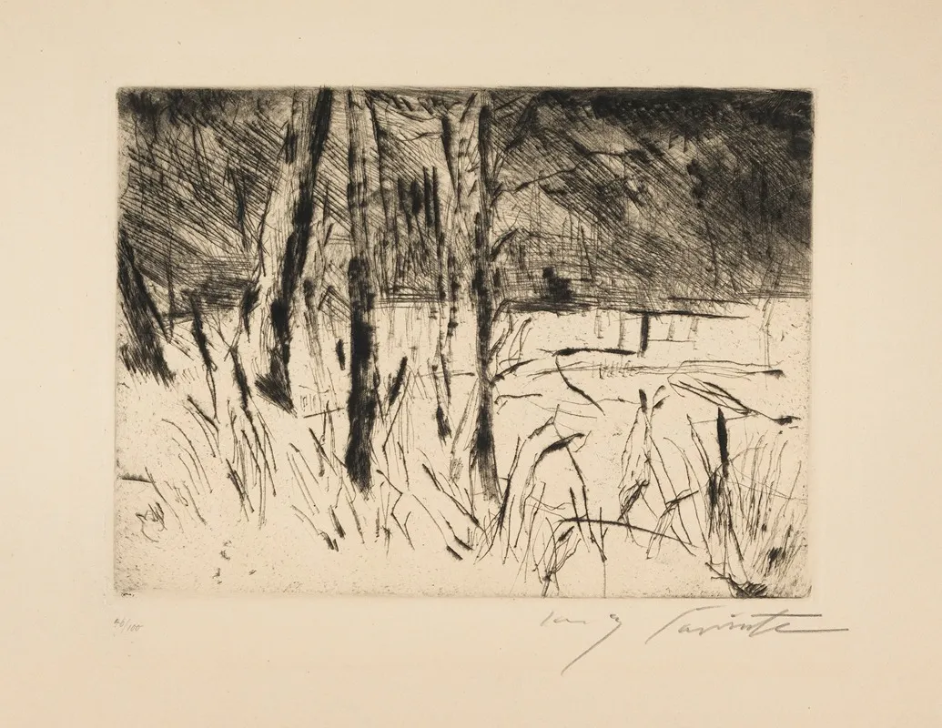 Tiergarten Im Januar