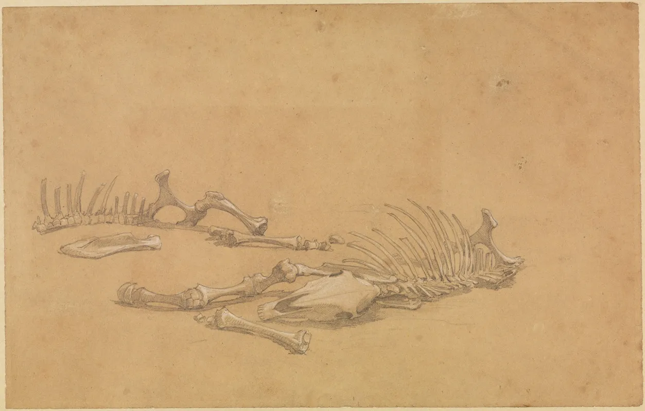 Tierskelett by Ferdinand Keller - Canvas Print