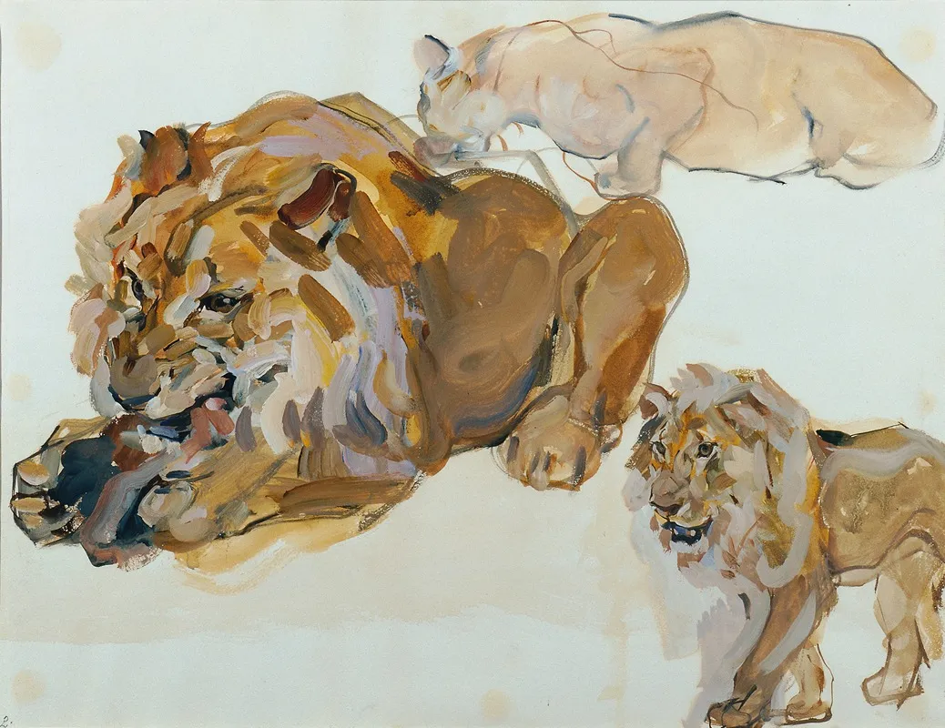 Tierstudie Aus Schonbrunn