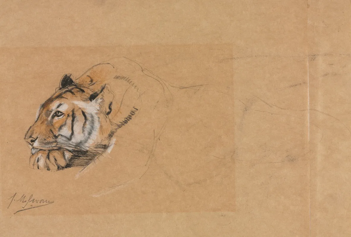 Tiger 4