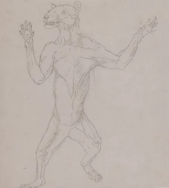 Tiger Body Standing In Human Posture