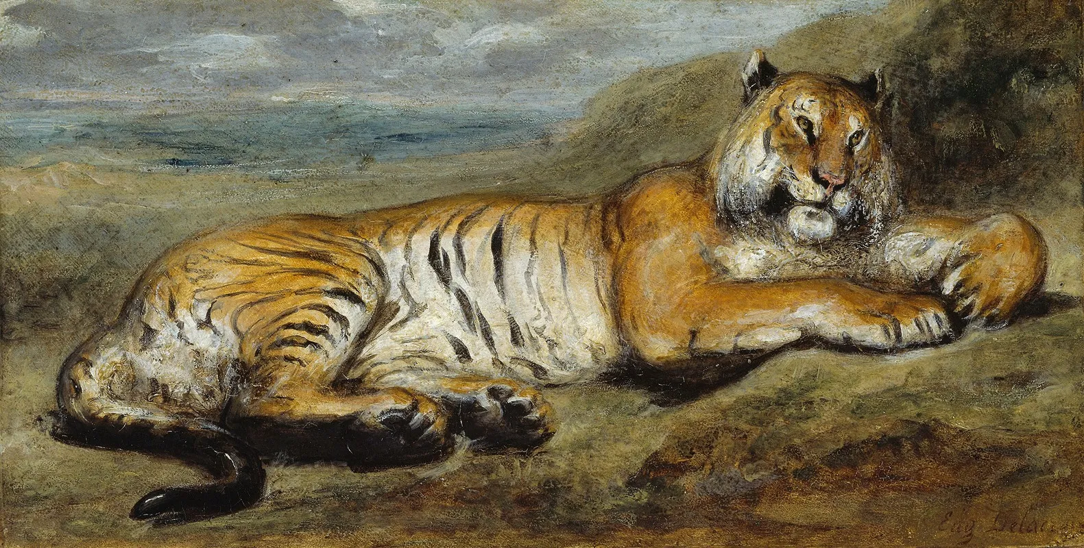Tiger Resting