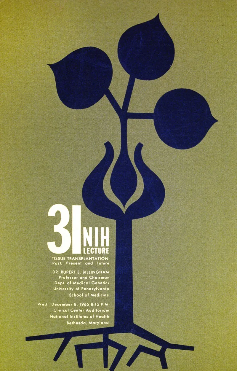 Tissue Transplantation Past Present And Future