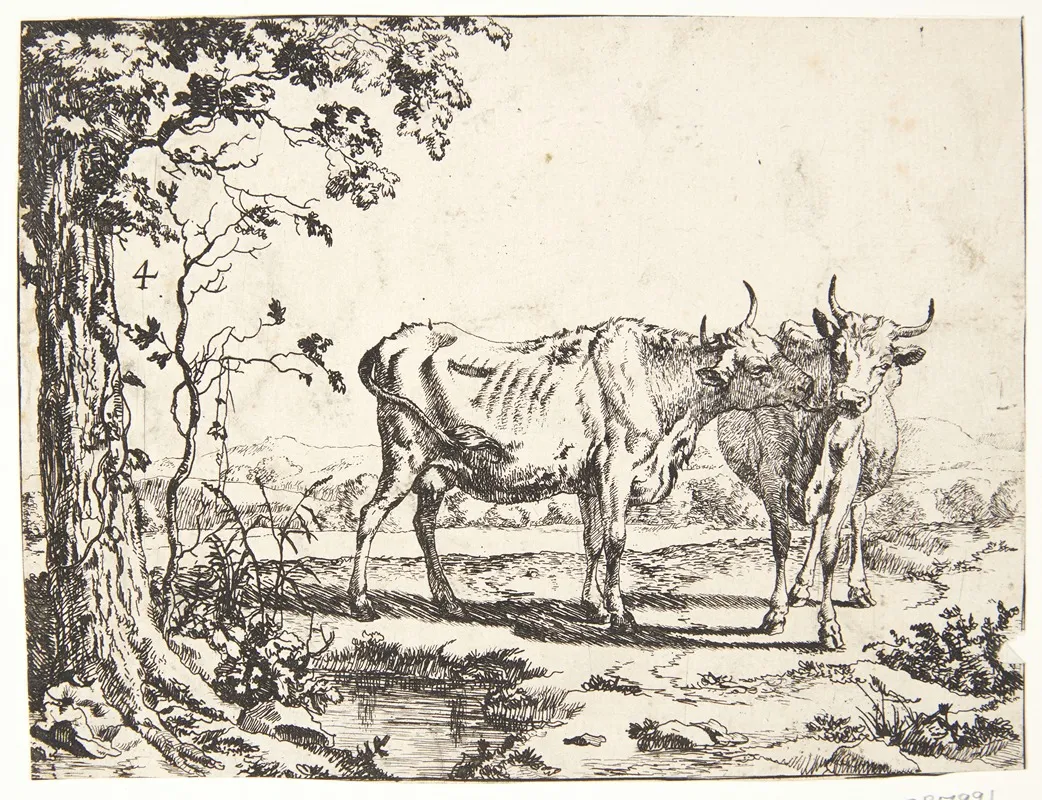 To Koer 2 by Marcus de Bye - Canvas Print