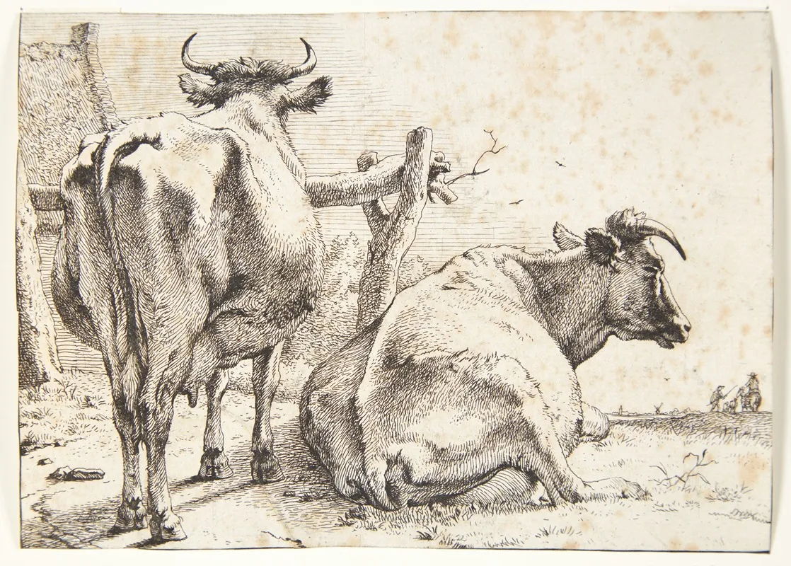 To Koer Set Bagfra by Paulus Potter - Canvas Print