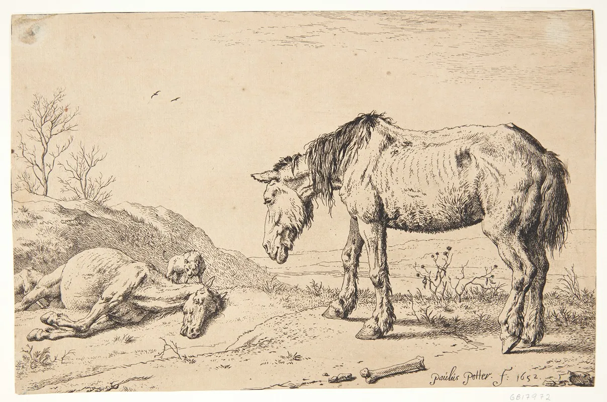 To Og Det Ene Doende by Paulus Potter - Canvas Print