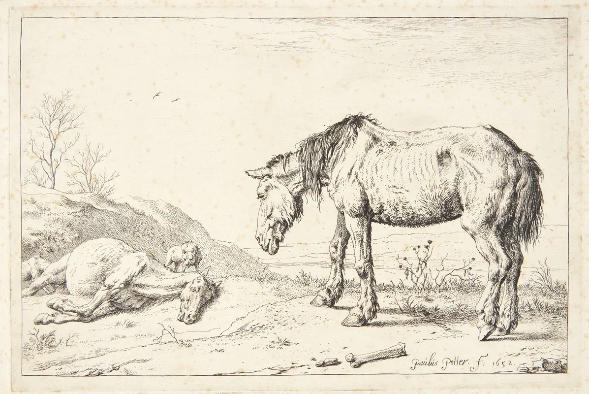 To Og by Paulus Potter - Canvas Print