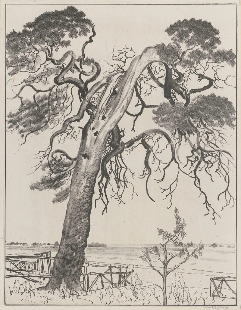 Torn Pine Tree by Leon Wyczółkowski - Canvas Print