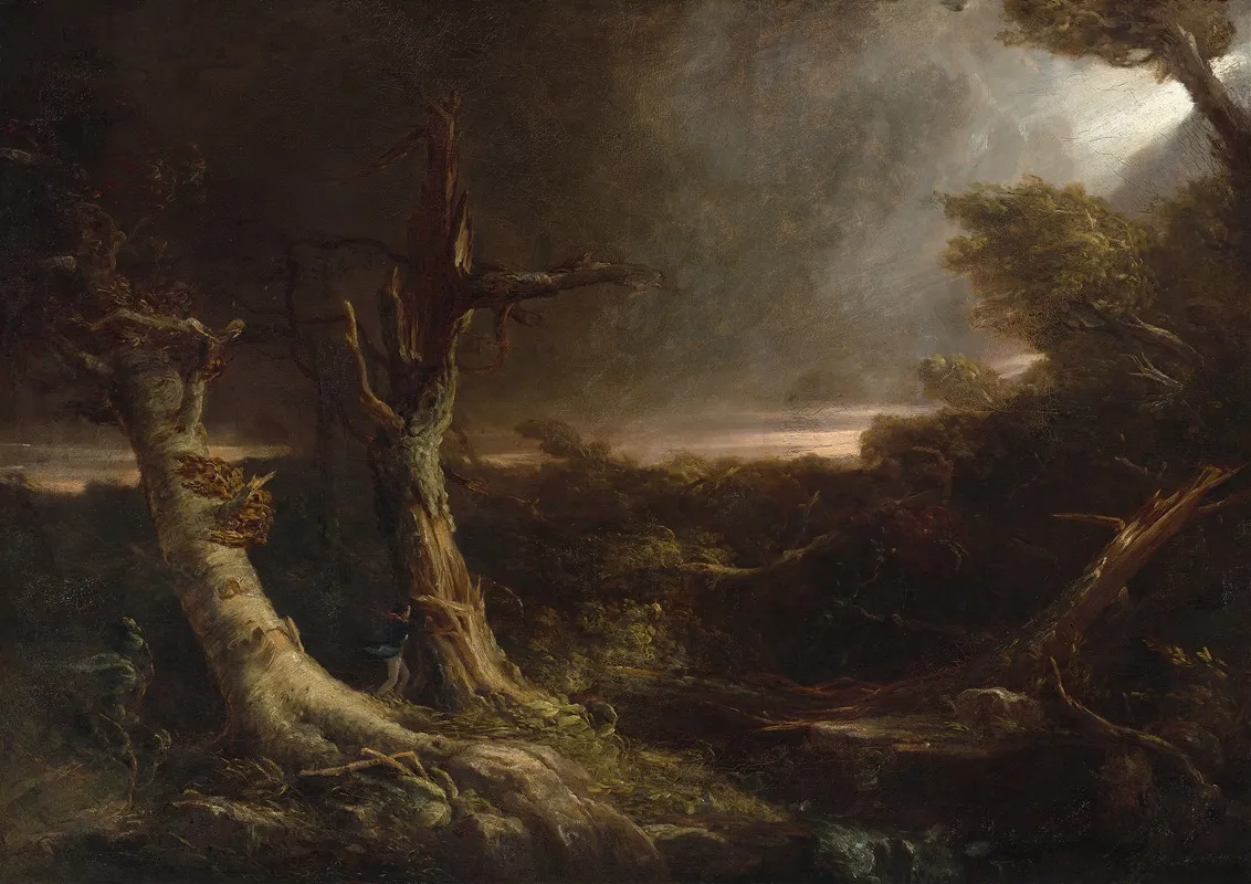 Tornado In An American Forest by Thomas Cole - Canvas Print