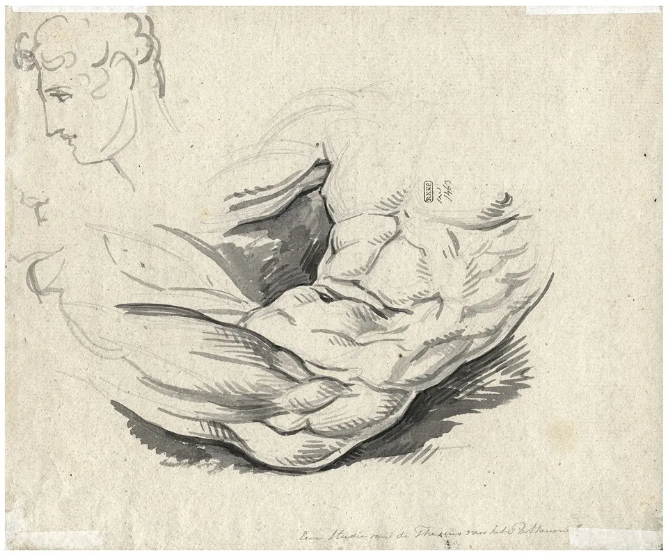 Torso 3