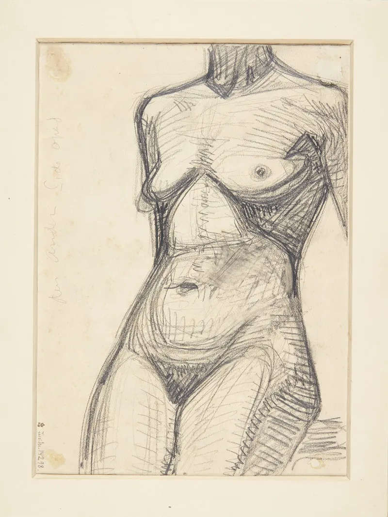 Torso Af Kvindelige Model