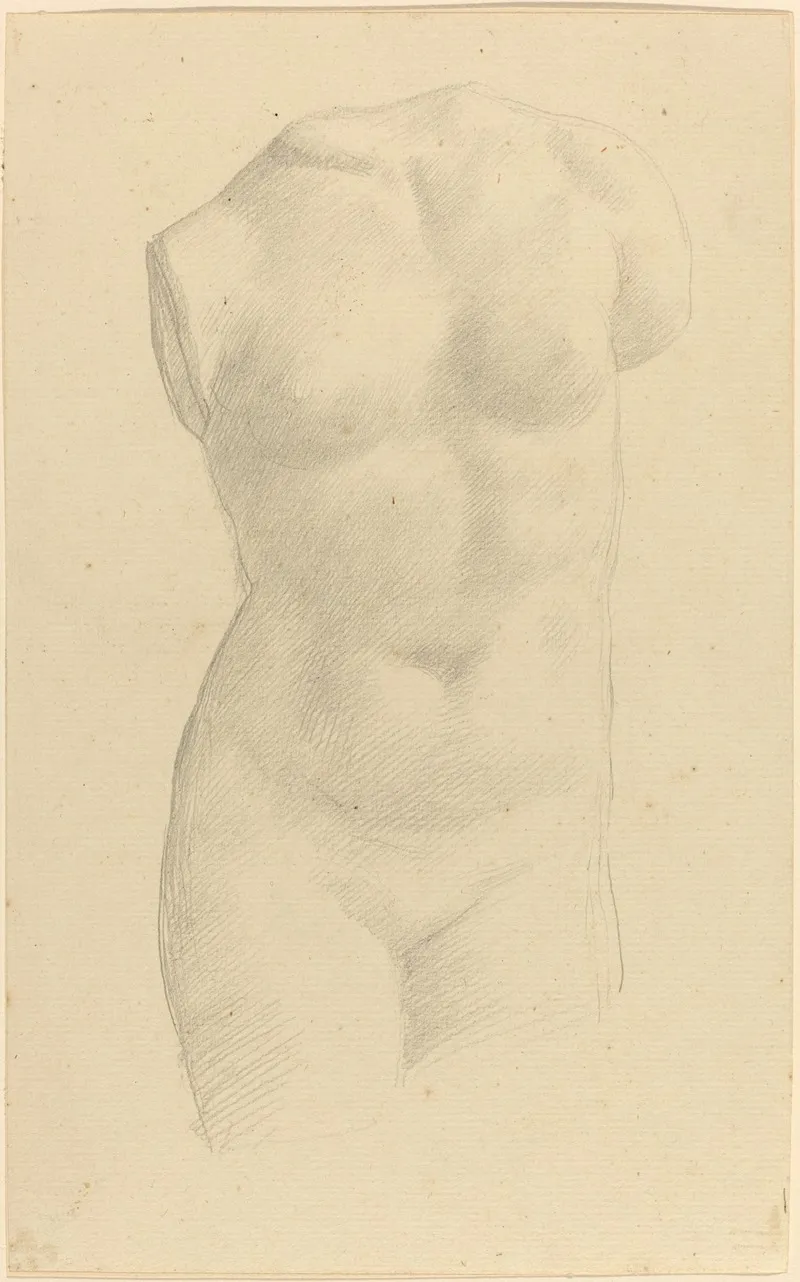 Torso