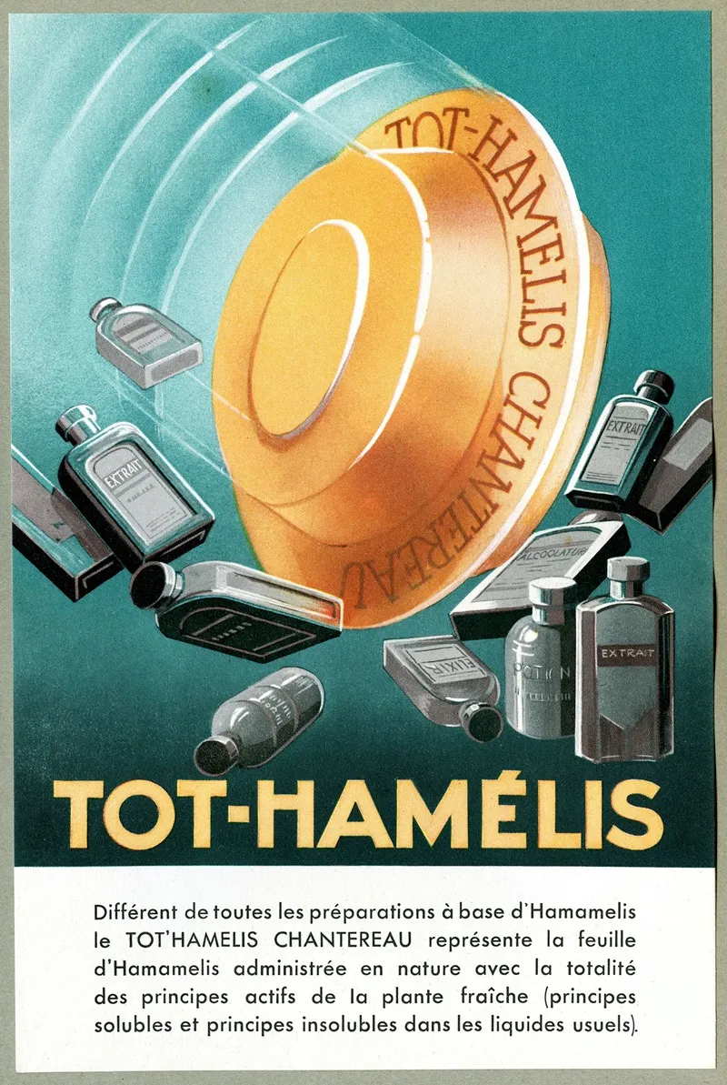 Tothamelis