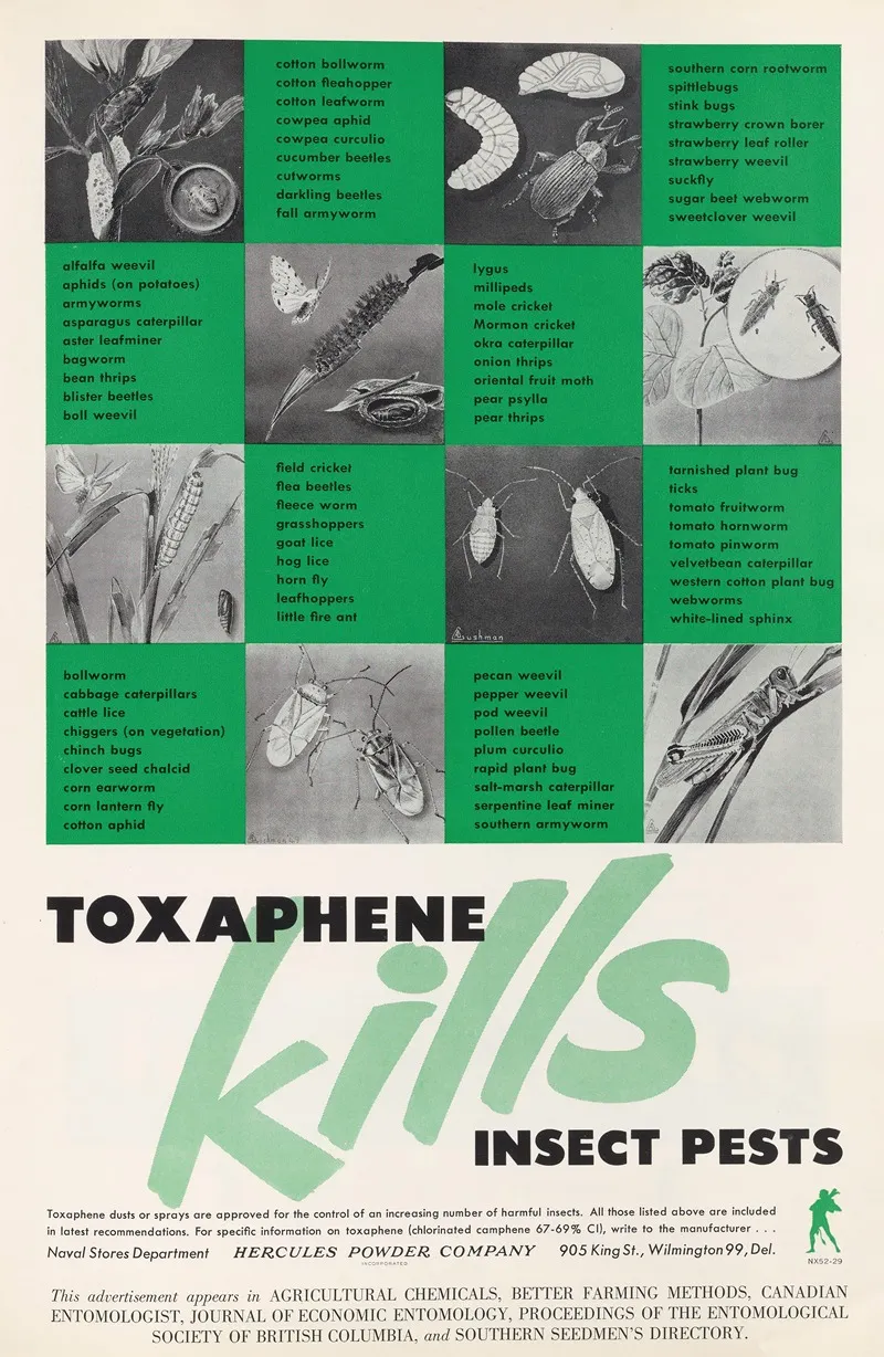 Toxaphene Kills Insect Pests by Hercules Incorporated - Canvas Print