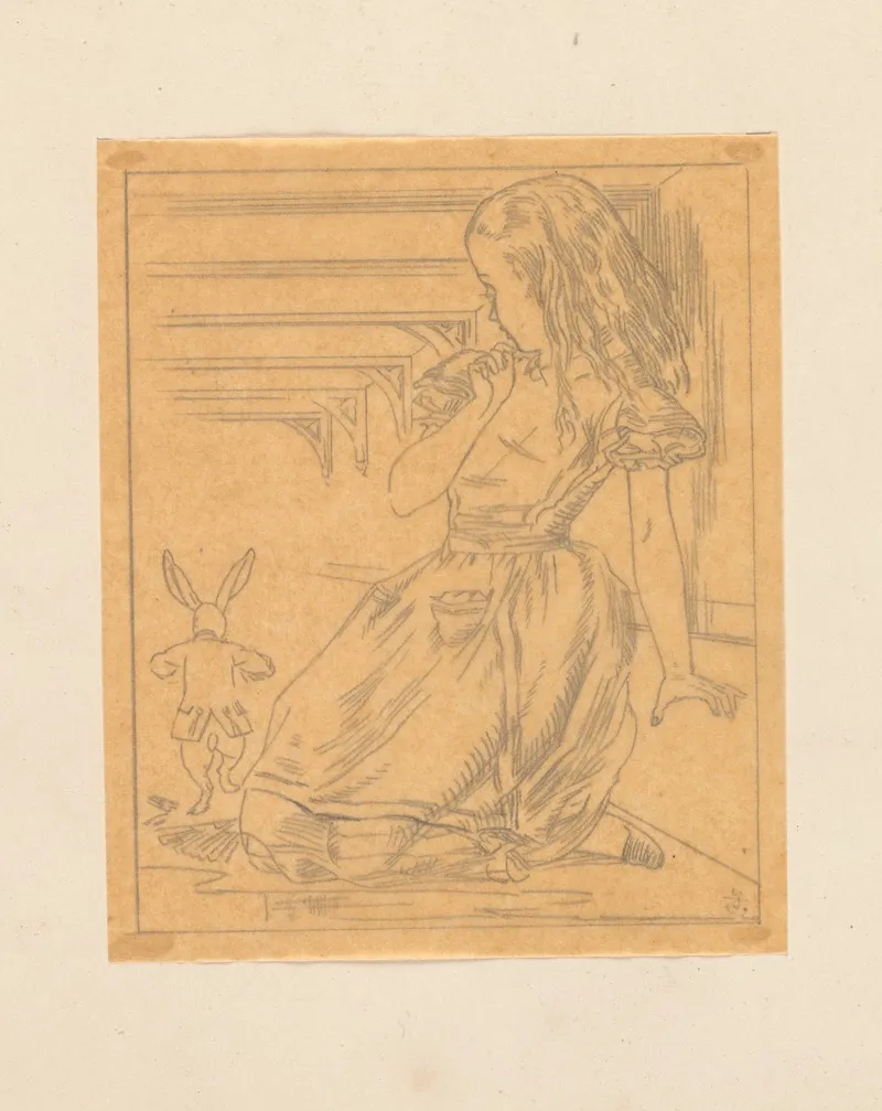 Tracing Of The Rabbit Scurried