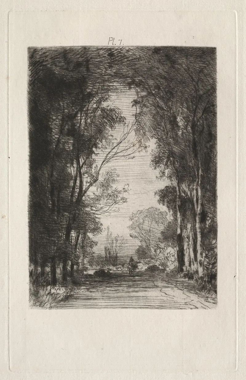 Traveler On A Road In A Forest