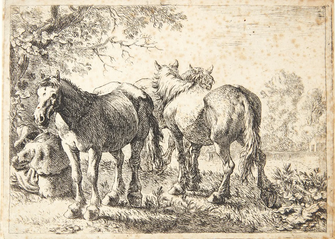 Tre Heste Tv En Siddende Bonde by Pieter van Laer - Canvas Print