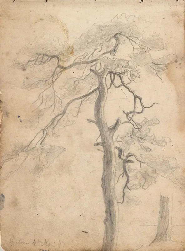 Tre Jeloya by Hans Gude - Canvas Print