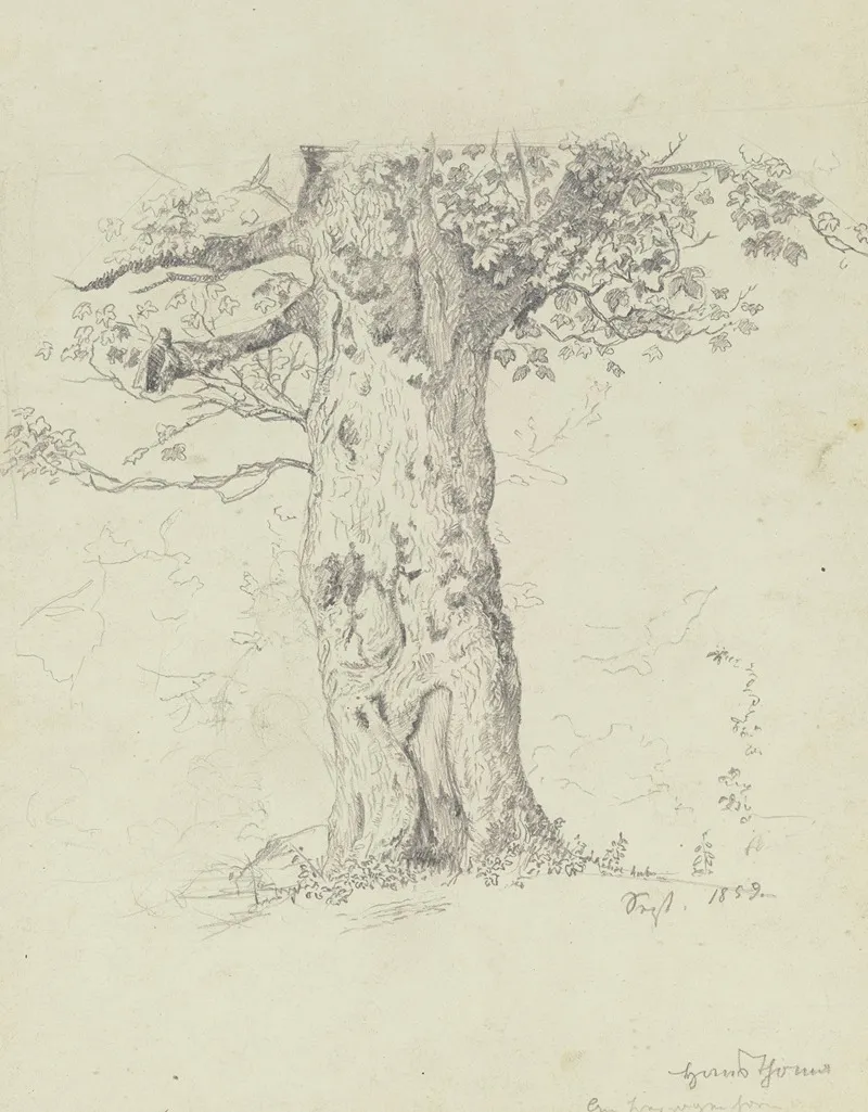 Tree 14