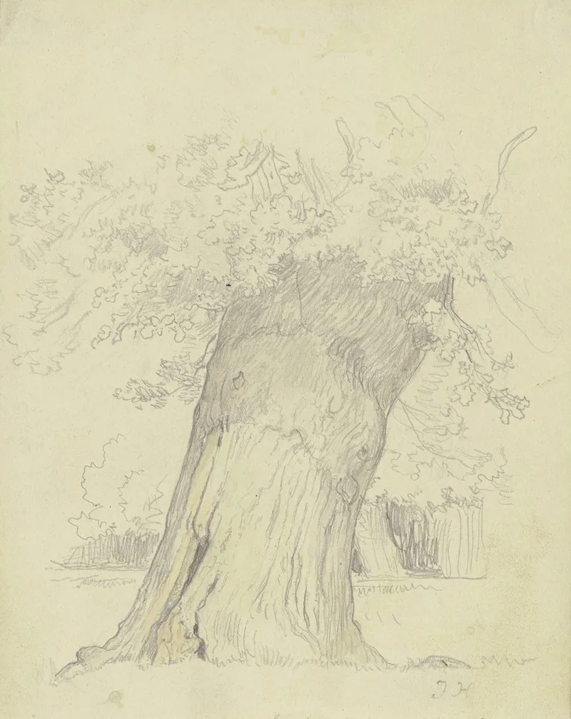 Tree 16 by Julius Hamel - Canvas Print