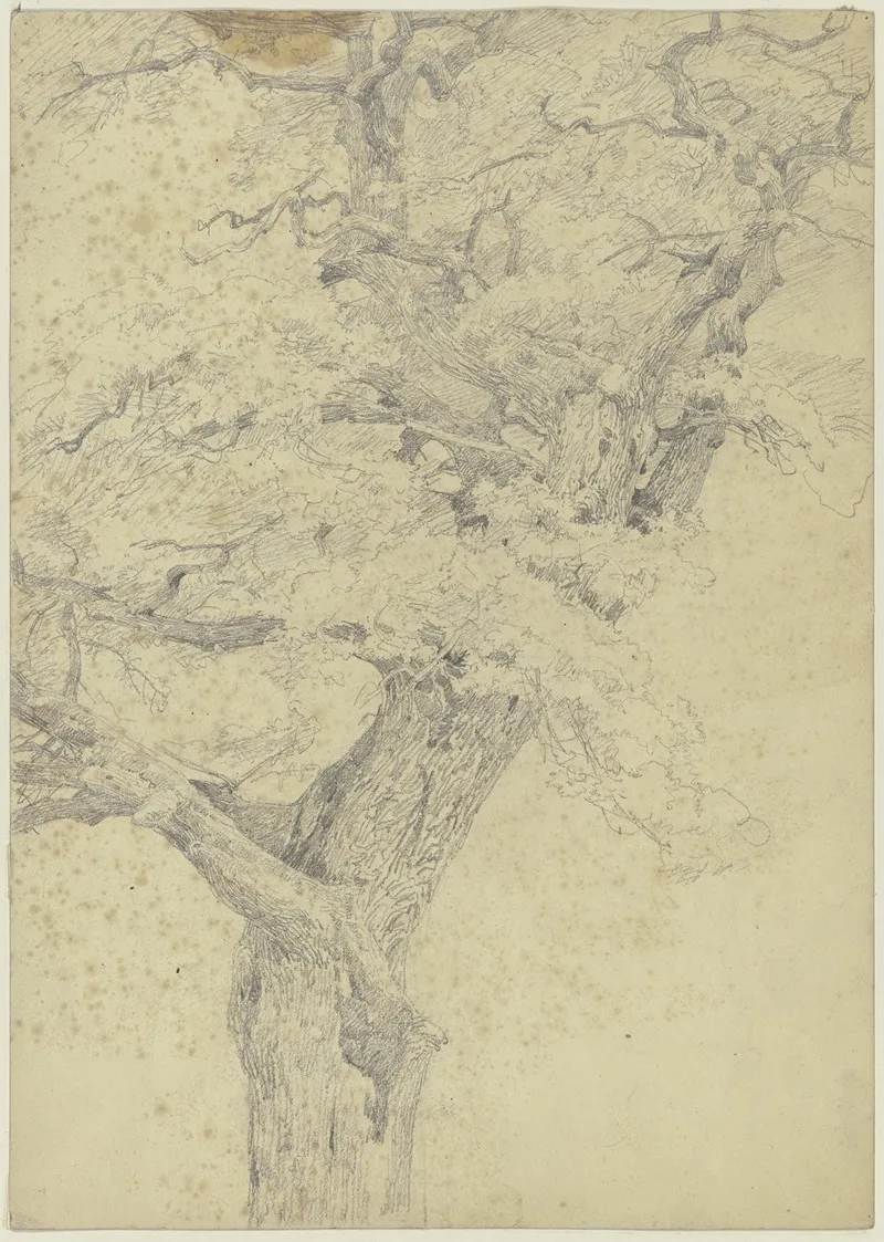Tree 22 by Jakob Becker - Canvas Print