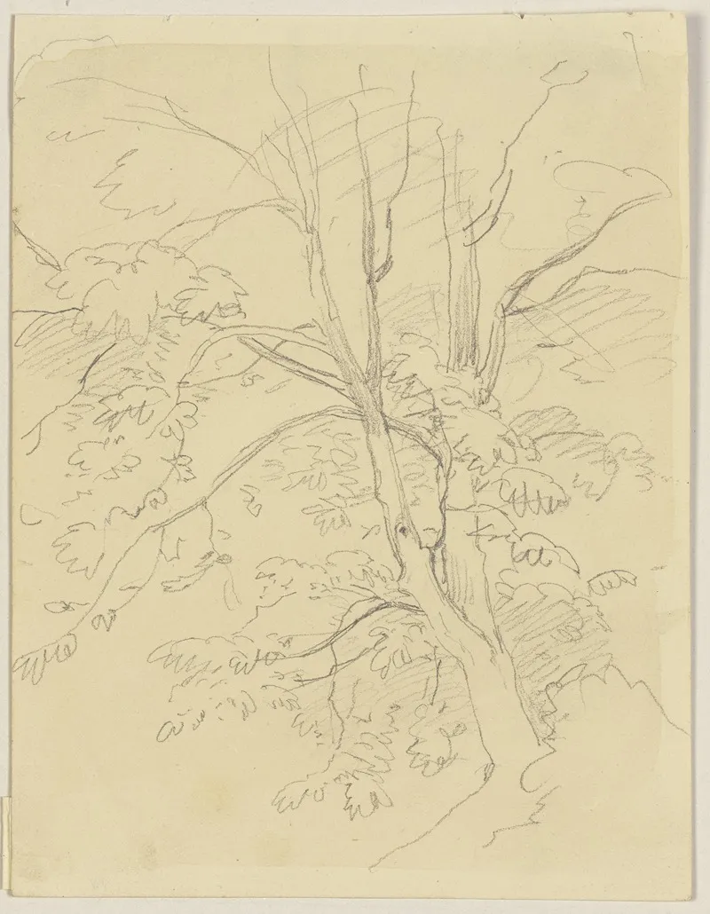 Tree 23