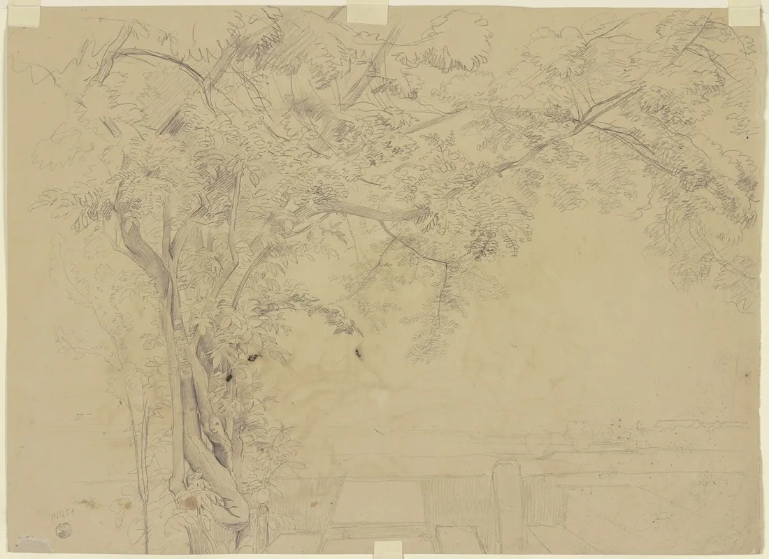 Tree 26 by Jakob Becker - Canvas Print