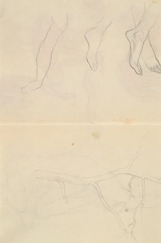 Tree And Anatomy Studies