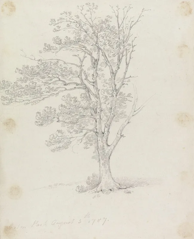 Tree At Easton Park by George Howland Beaumont - Canvas Print