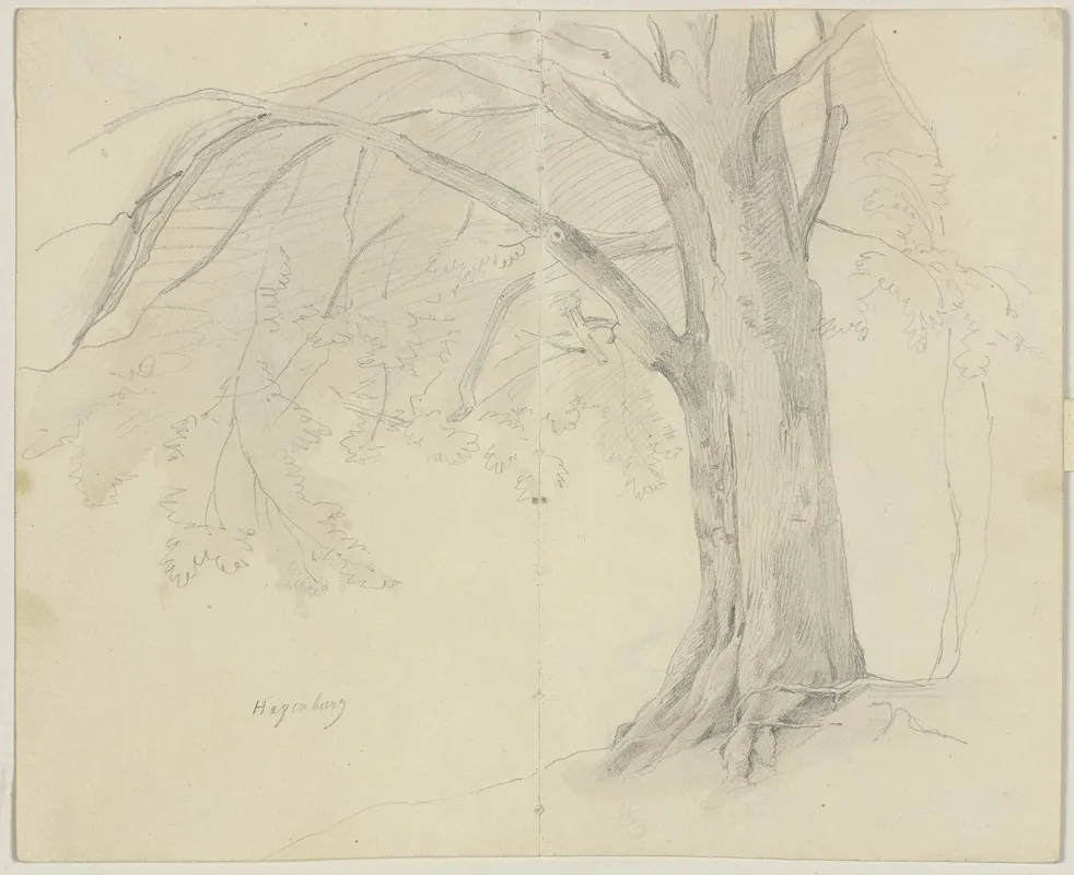 Tree In Hagenburg