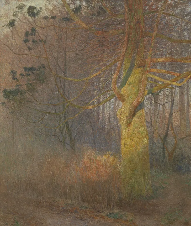Tree In The Sun by Emile Claus - Canvas Print