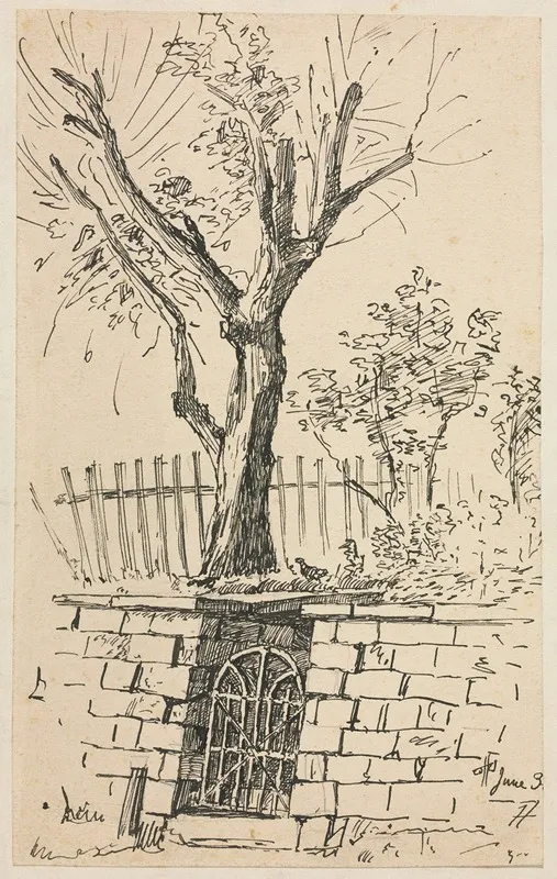 Tree On Top Of A Stone Wall Cleveland