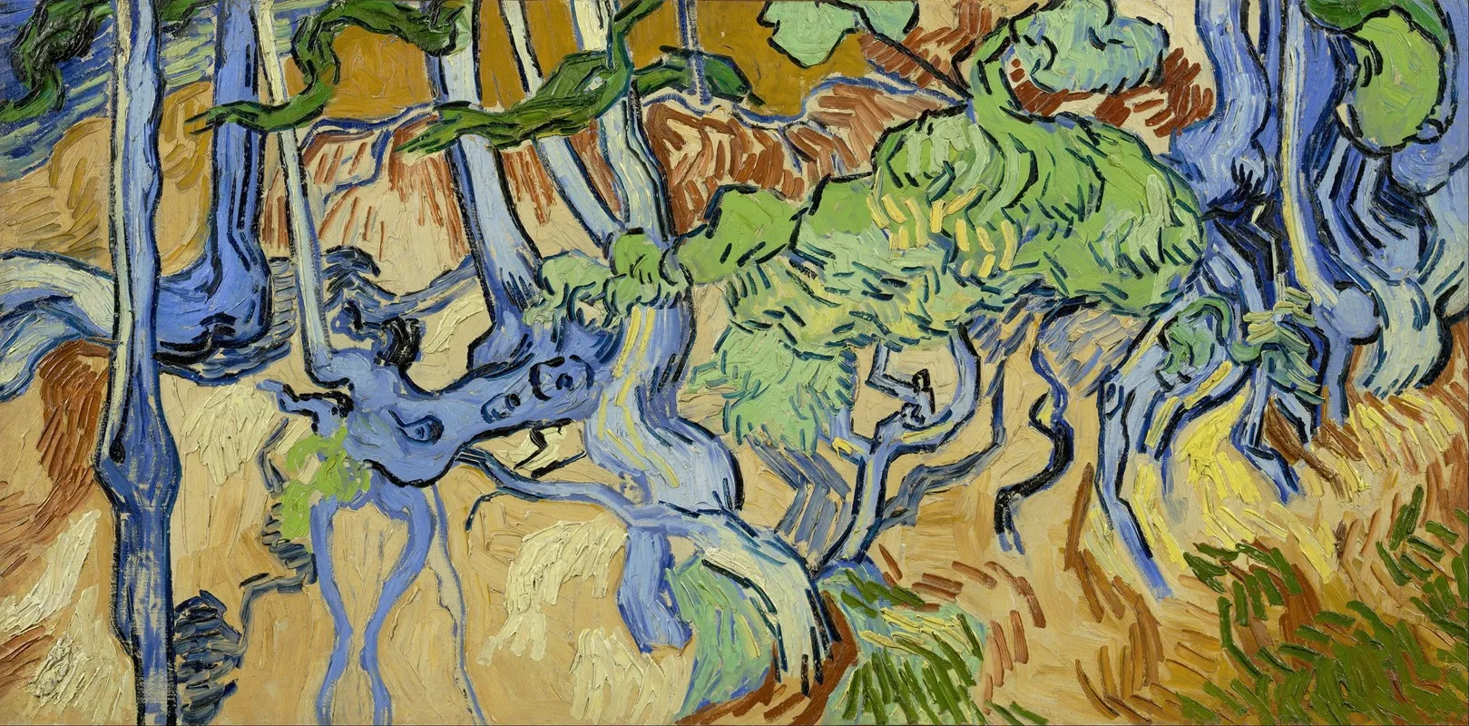 Tree Roots