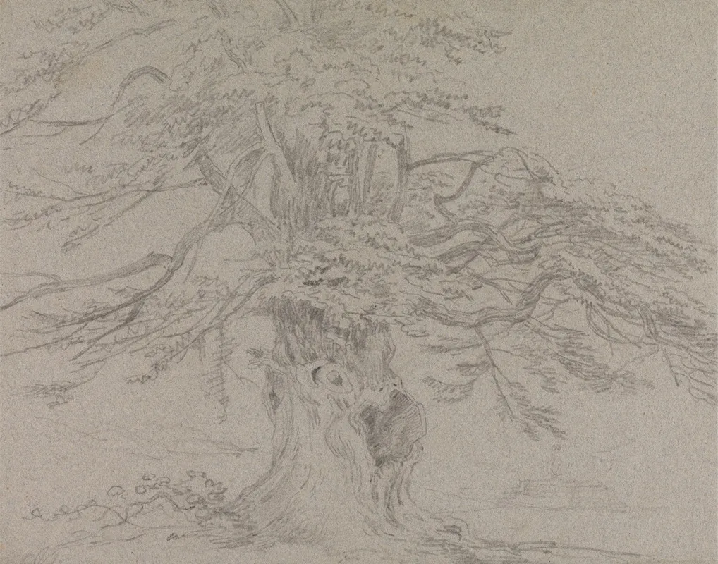 Tree Study 10