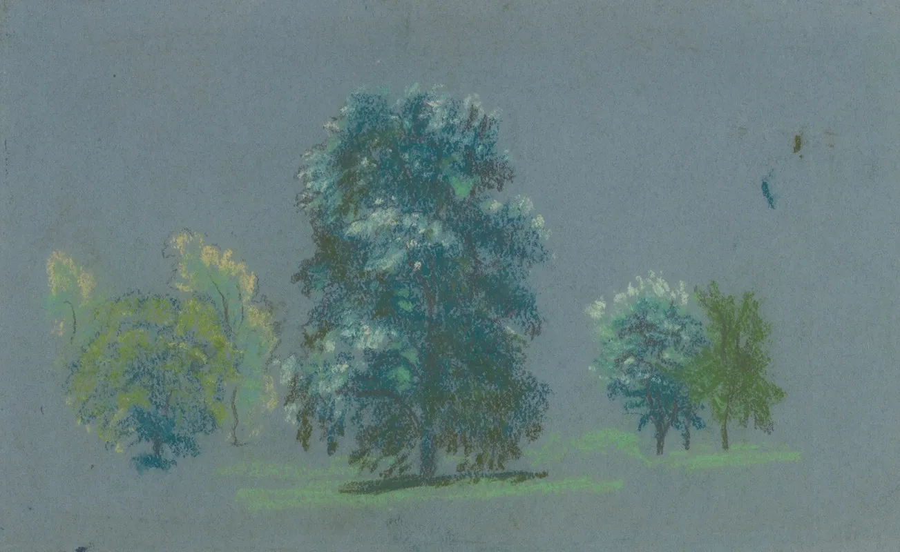 Tree Study 14