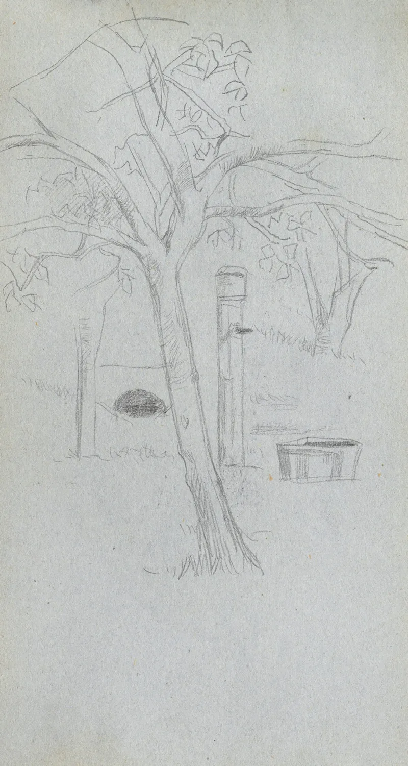 Tree Study 16