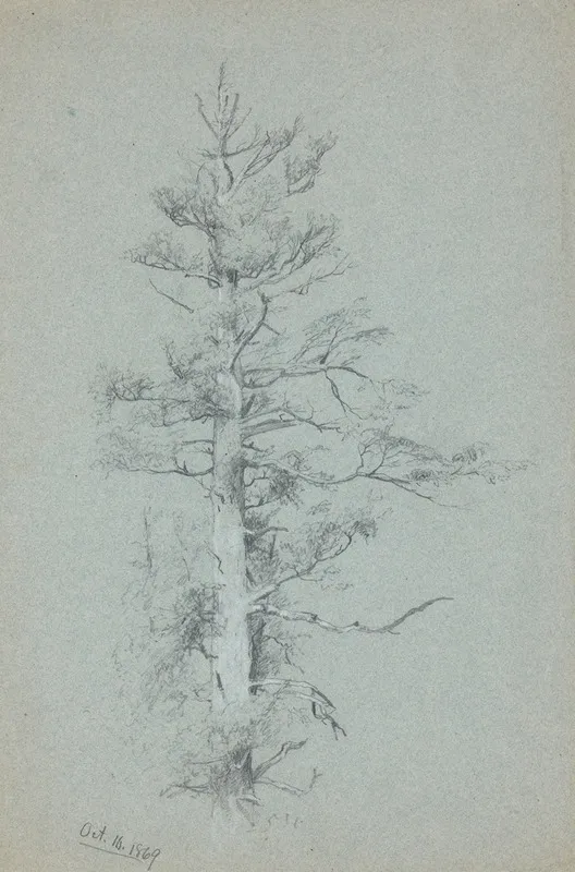 Tree Study 2 by Jervis McEntee - Canvas Print