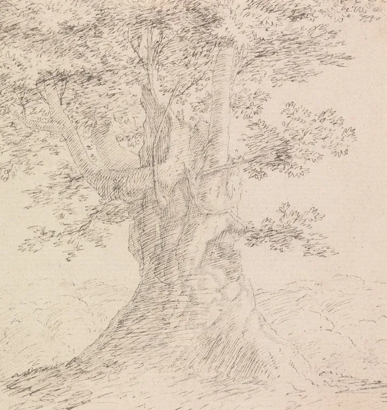 Tree Study 4