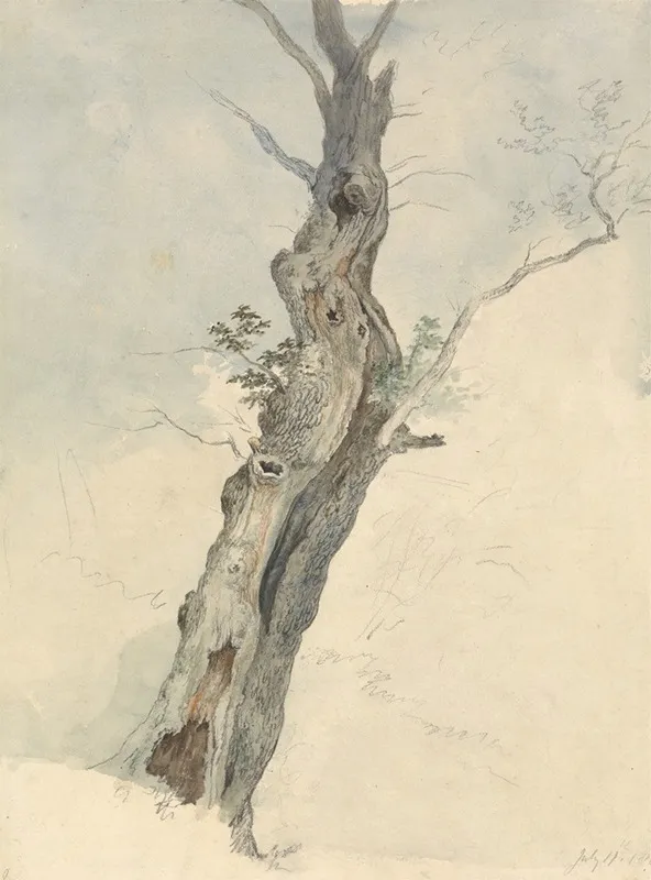 Tree Study 6