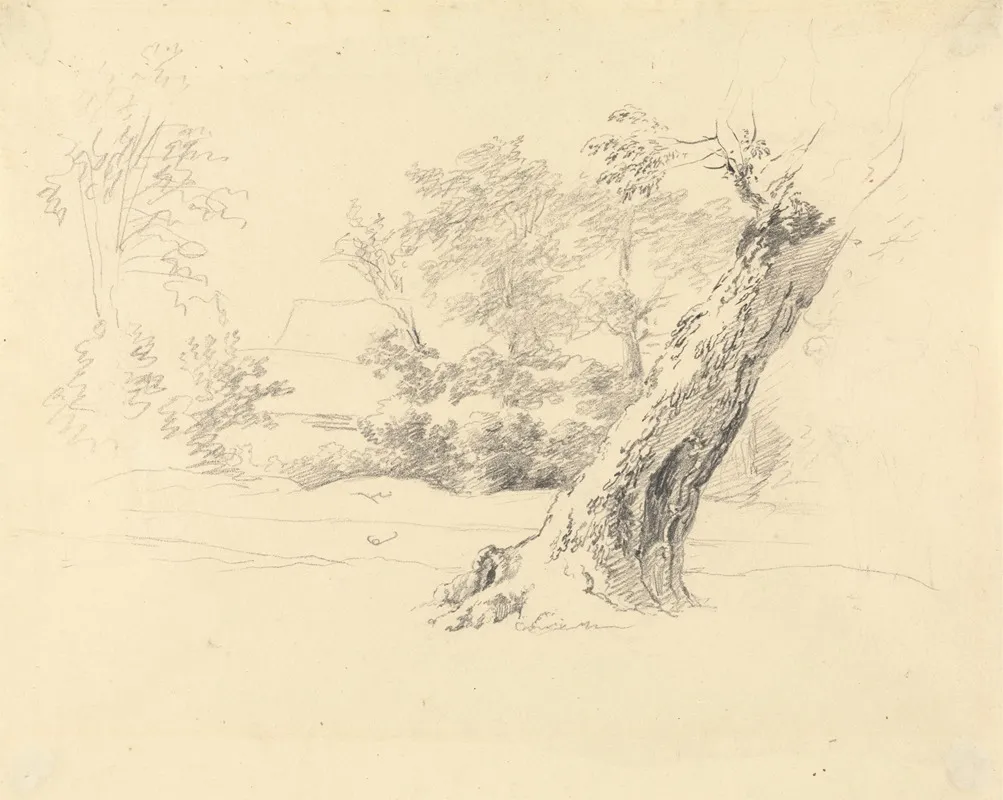 Tree Study 7