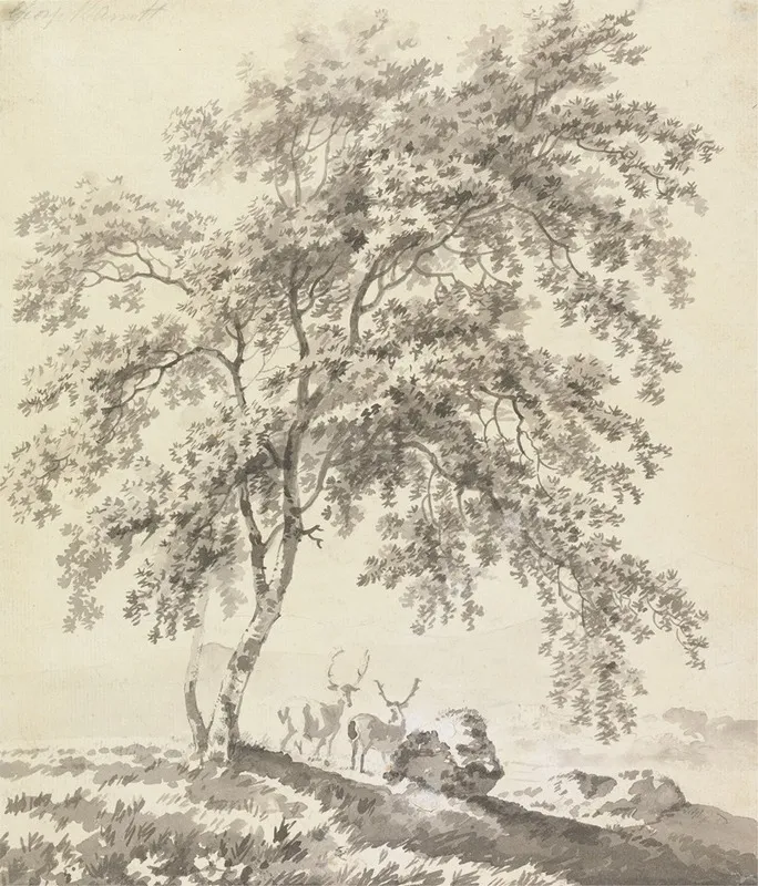 Tree Study With Stags Landscape by George Barret - Canvas Print