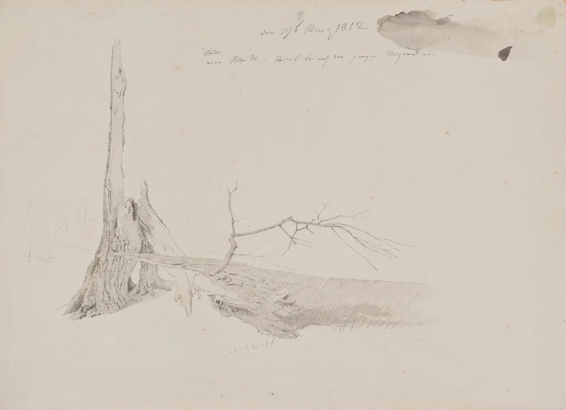 Tree Stump by Caspar David Friedrich - Canvas Print