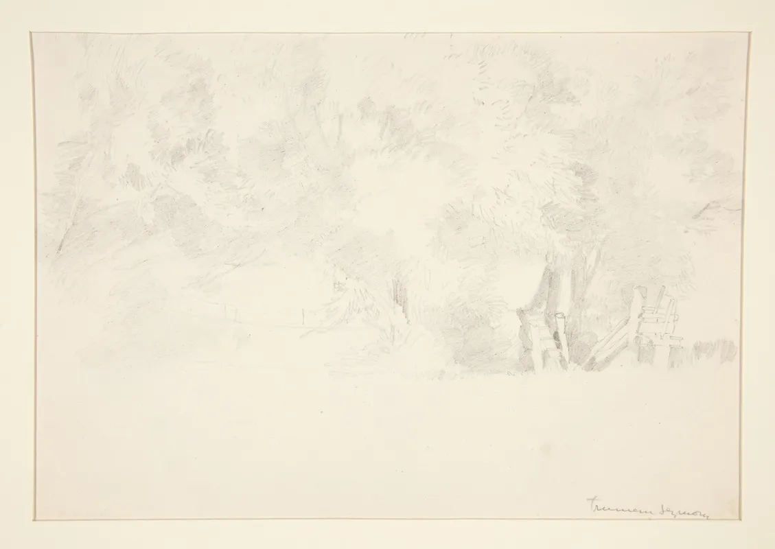 Trees 11