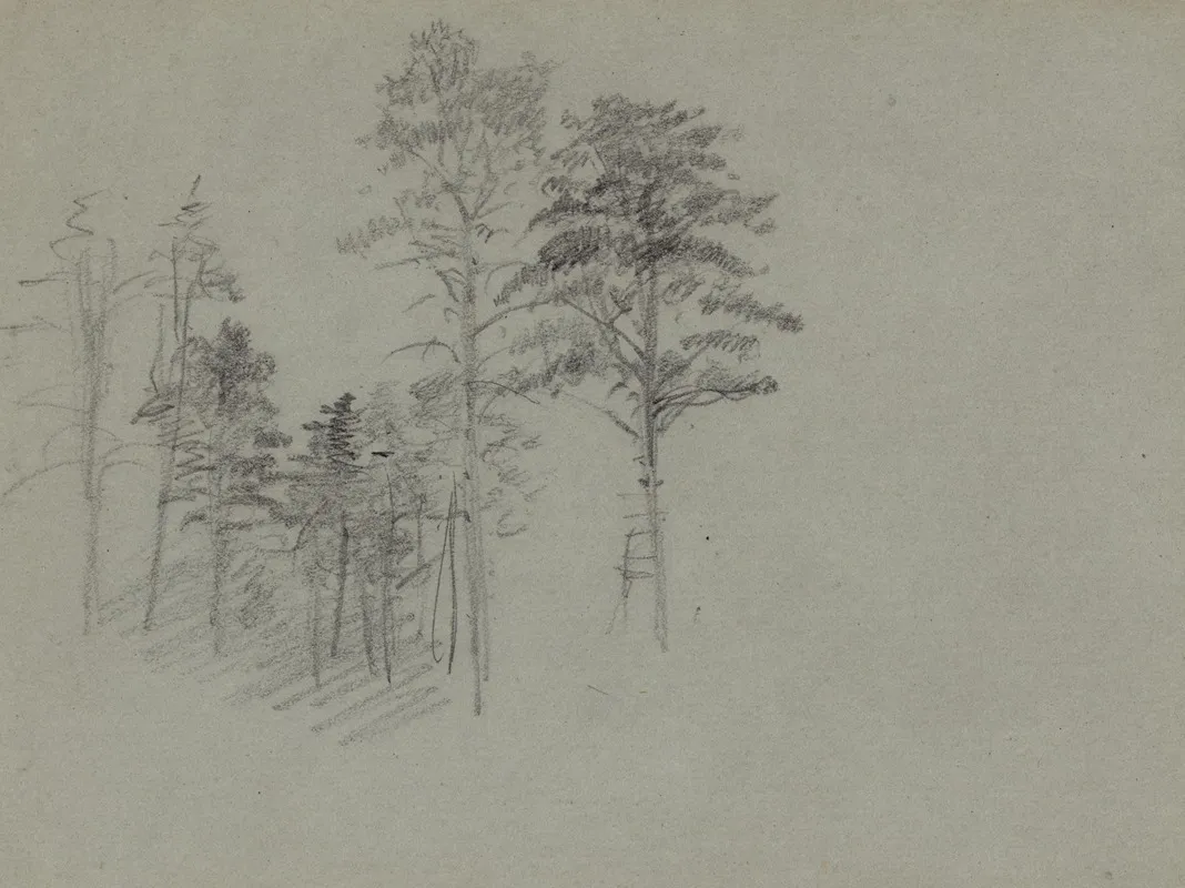 Trees 18