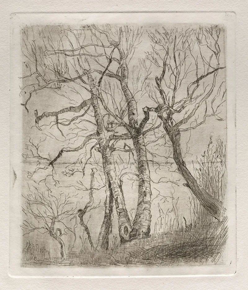 Trees 22