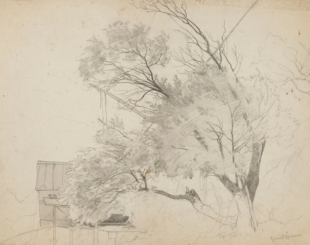 Trees And A Shelter Against The Mountains Near Bad Sackingen
