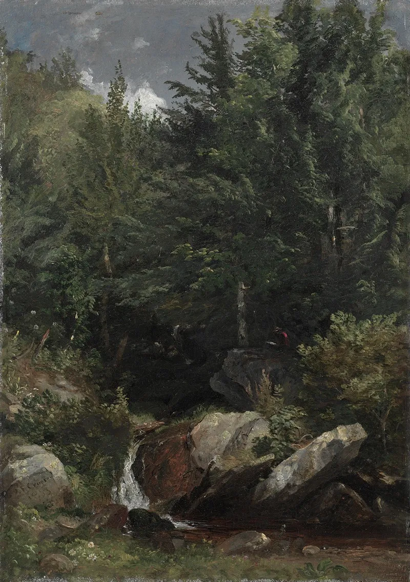 Trees And A Stream On A Hillside