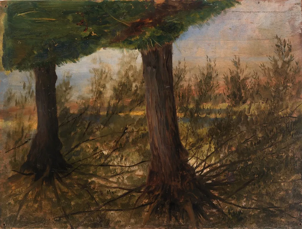 Trees Beside A Stream